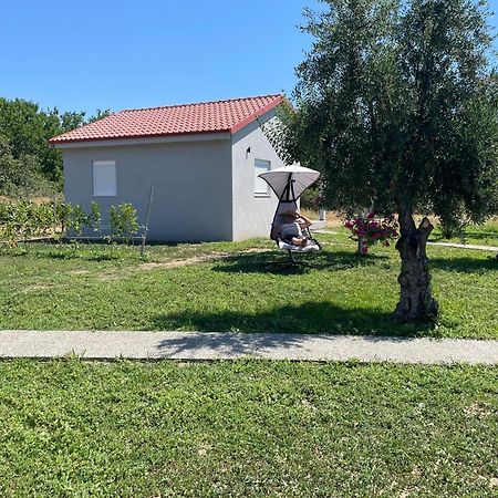 Apartamento Ktima Mimoza Sykia Chalkidikis Exterior foto