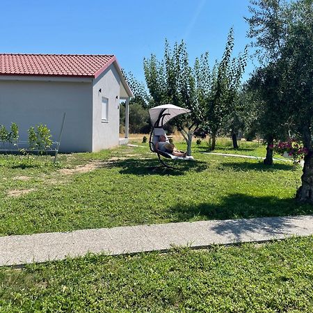 Apartamento Ktima Mimoza Sykia Chalkidikis Exterior foto