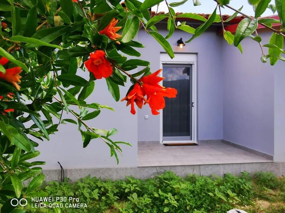 Apartamento Ktima Mimoza Sykia Chalkidikis Exterior foto