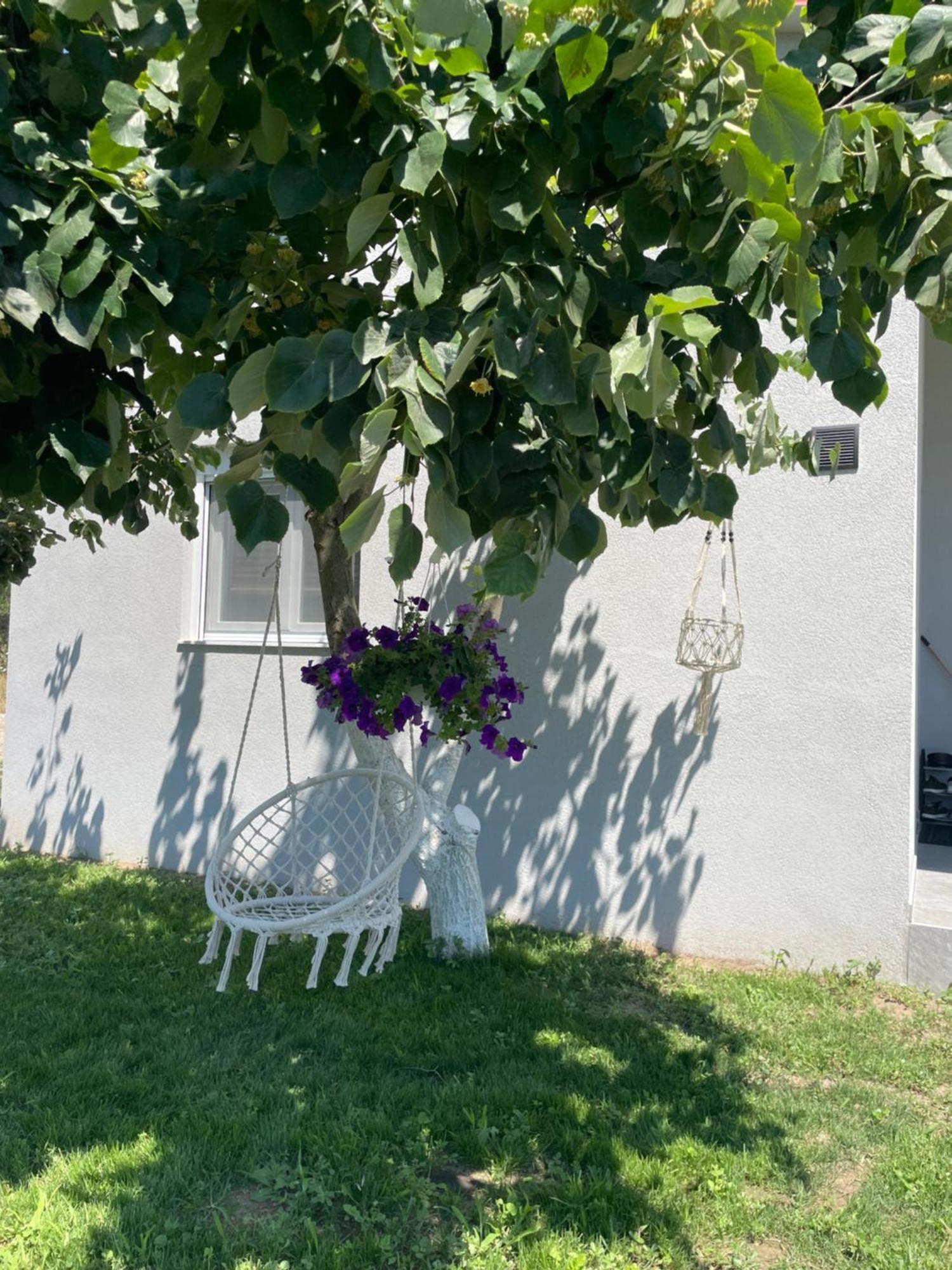 Apartamento Ktima Mimoza Sykia Chalkidikis Exterior foto