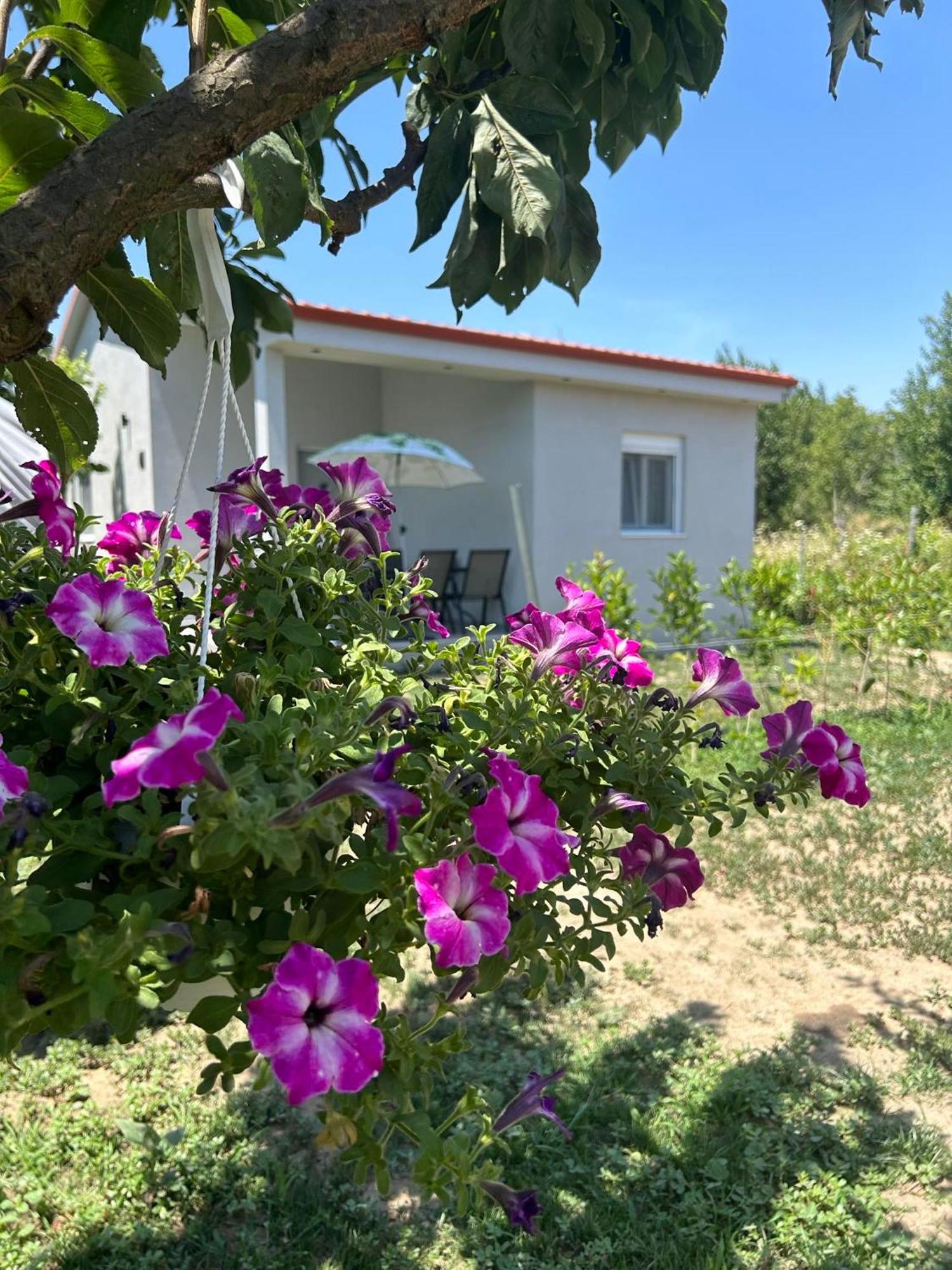 Apartamento Ktima Mimoza Sykia Chalkidikis Exterior foto